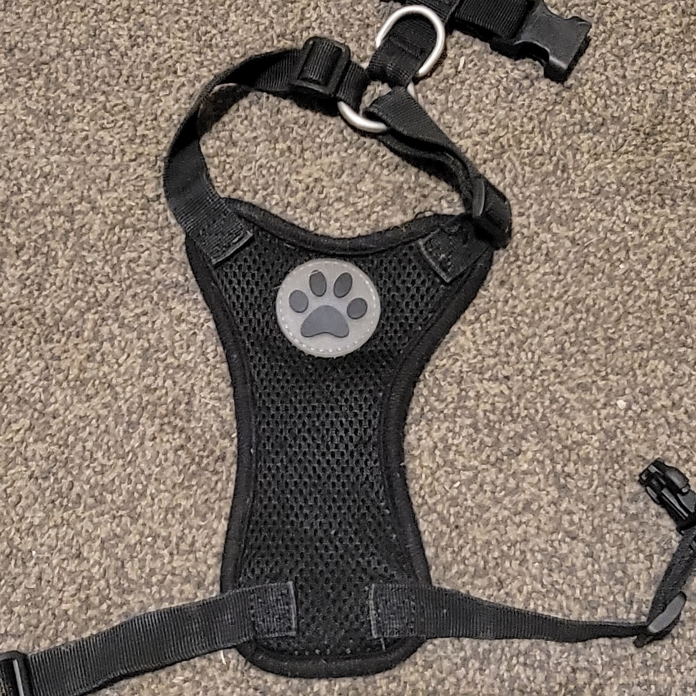 Harness